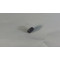 GRUB SCREW M3X5 UNI5923
