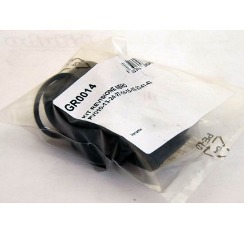 Schwarz Revisionskit PV010-13-24-27-14-15-16-23-41-42