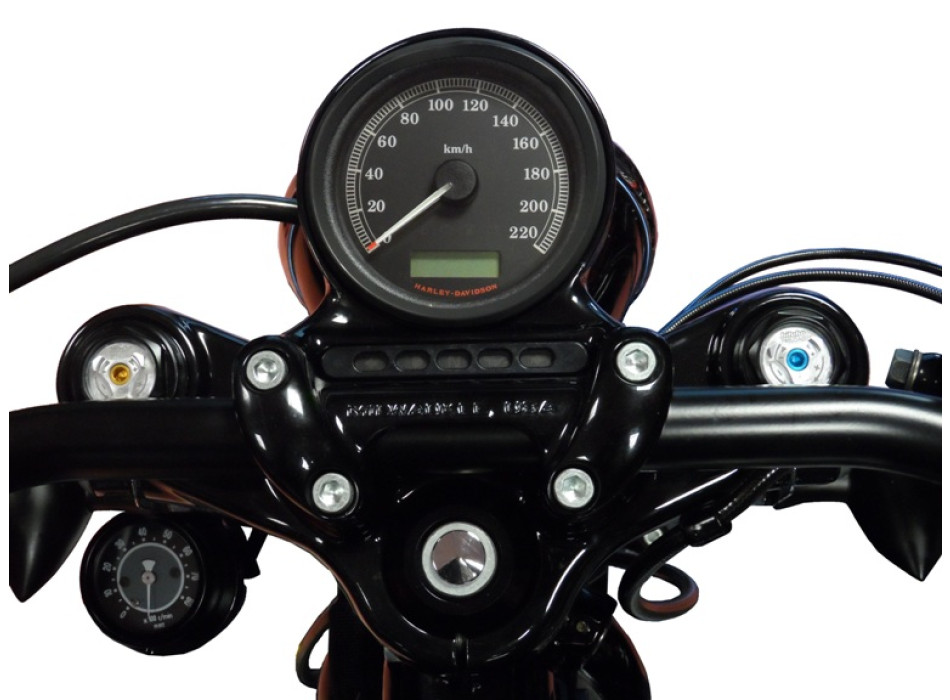 Pressurized cartdrige adjustable: spring preload, Rebound, Compression, without oil, Black ring Lowering to -20mm (suggested oil code 997630 not included)