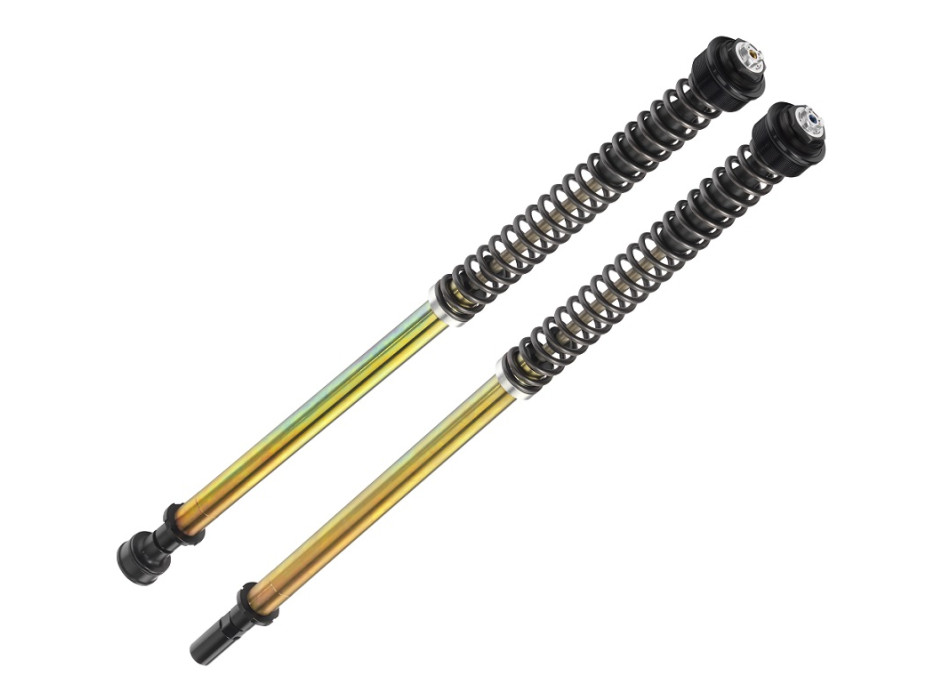 Pressurized cartdrige adjustable: spring preload, Rebound, Compression, without oil, Black ring (suggested oil code 997630 not included)