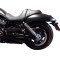 Twinshocks adjustable: spring preload, rebound, length 321mm/12,65Inch, CHROME EDITION
