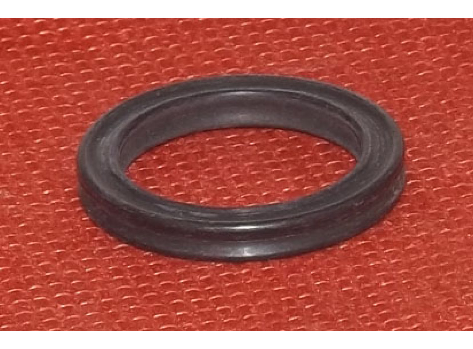 SEAL Piston Rod D.20