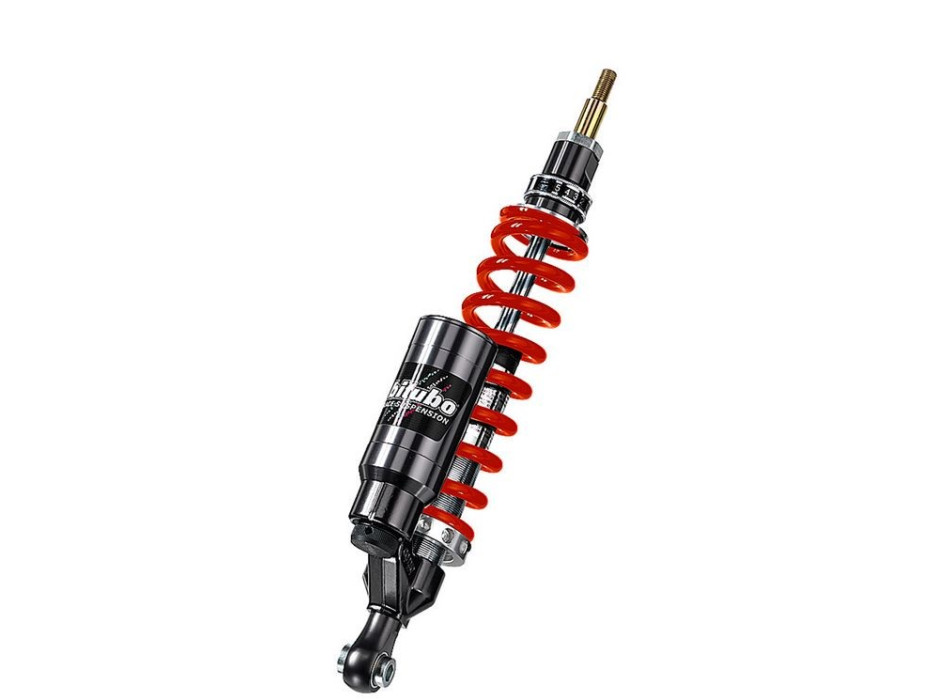 Monoshock adjustable: spring preload, rebound, compression, length, Red spring