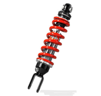 Monoshock adjustable: spring preload, rebound, Red spring