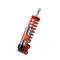 Monoshocks front adjustable: spring preload, rebound, compression, Red spring