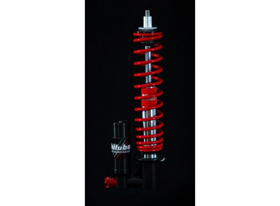 Monoshocks front adjustable: spring preload, compression, Red spring