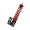 Monoshocks front adjustable: spring preload, Red spring