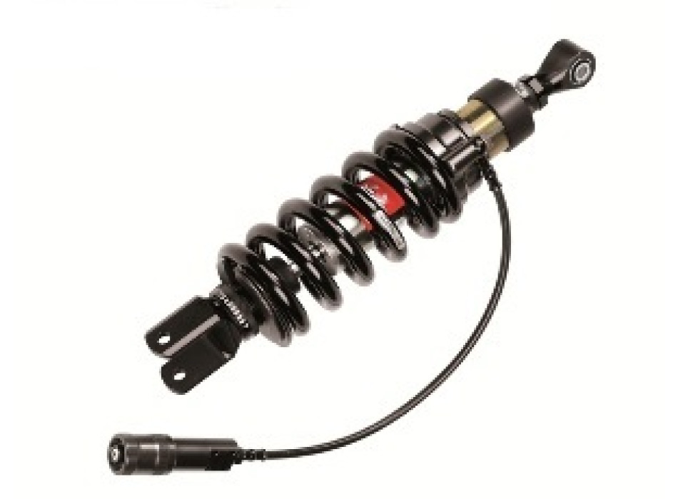Monoshocks adjustable: hydraulic spring preload, rebound, lenght, Black spring