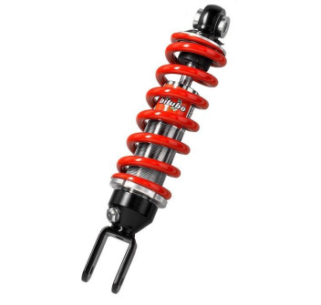 Monoshocks adjustable: spring preload Red spring