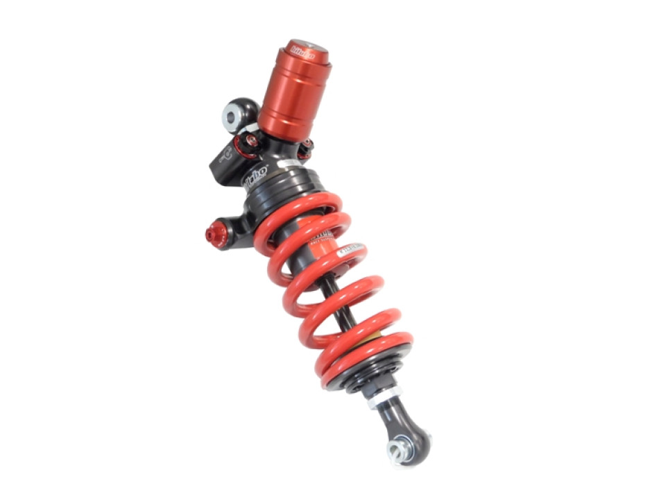 MONO Shock-ADJ:hyd.preload/2rebound/2compression/length 298 -3 +5_RobemEngineering_Linkage