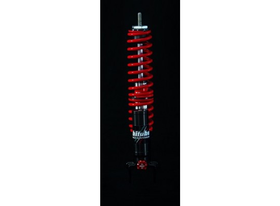 Monoshock rear adjustable: spring preload, compression, Red spring