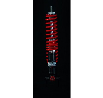 Monoshock rear adjustable: spring preload, compression, Red spring