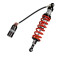 Monoshock adjustable: spring preload, rebound, double compression, length, Red spring