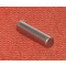 ROLLER NRB G2 Ø5X19.8 Steel 100Cr6