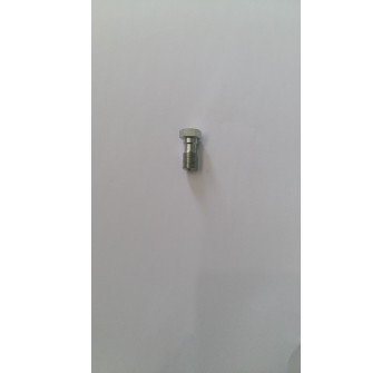 PERFORATED SCREW 1/8