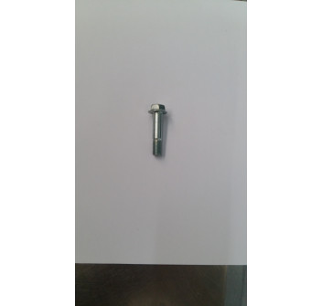 SCREW M10X1.25X45 FIL.15 FLANGIATA