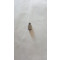 SCREW RACC.FLEXIB. TUBE TL 1000S