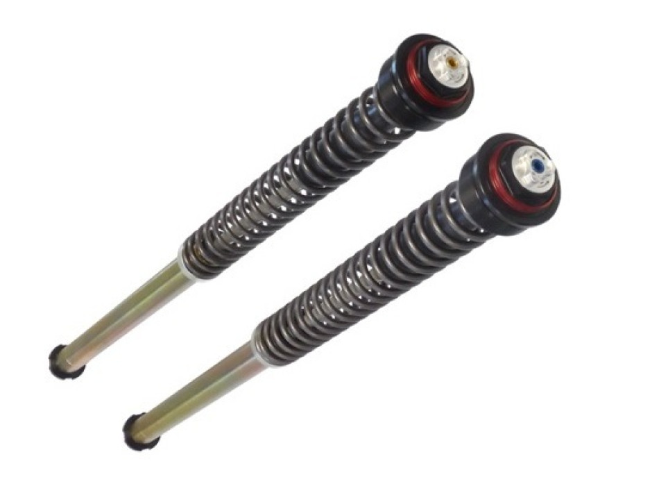 Pressurized cartridge - Adj: spring preload; Rebound, Compression; WITHOUT Oil; RED ring.