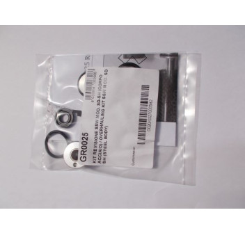 Kit révision GB038SSW00