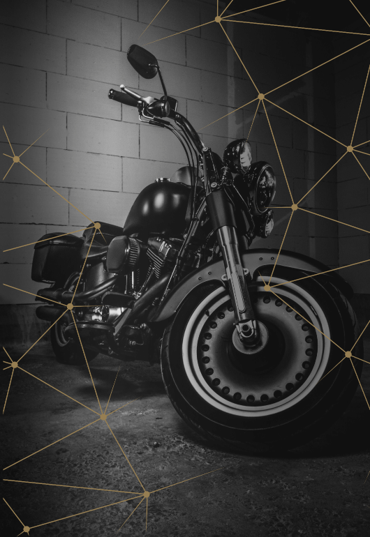 Scopri i prodotti categoria V-twin