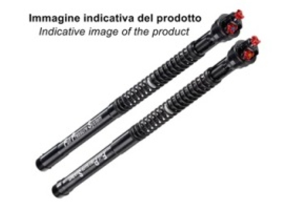 CARTUCCIA pressurizzata - Regolazioni: precarico molla idraulico, estensione elettronica, compressione elettronica, 1 Lt. Olio