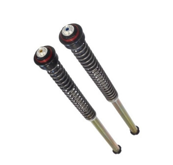 Cartuccia presurizzata regolabile: precarico molla, Estensione, Compressione, SENZA Olio, anello Rosso (suggerito olio cod. 997630 non incluso)