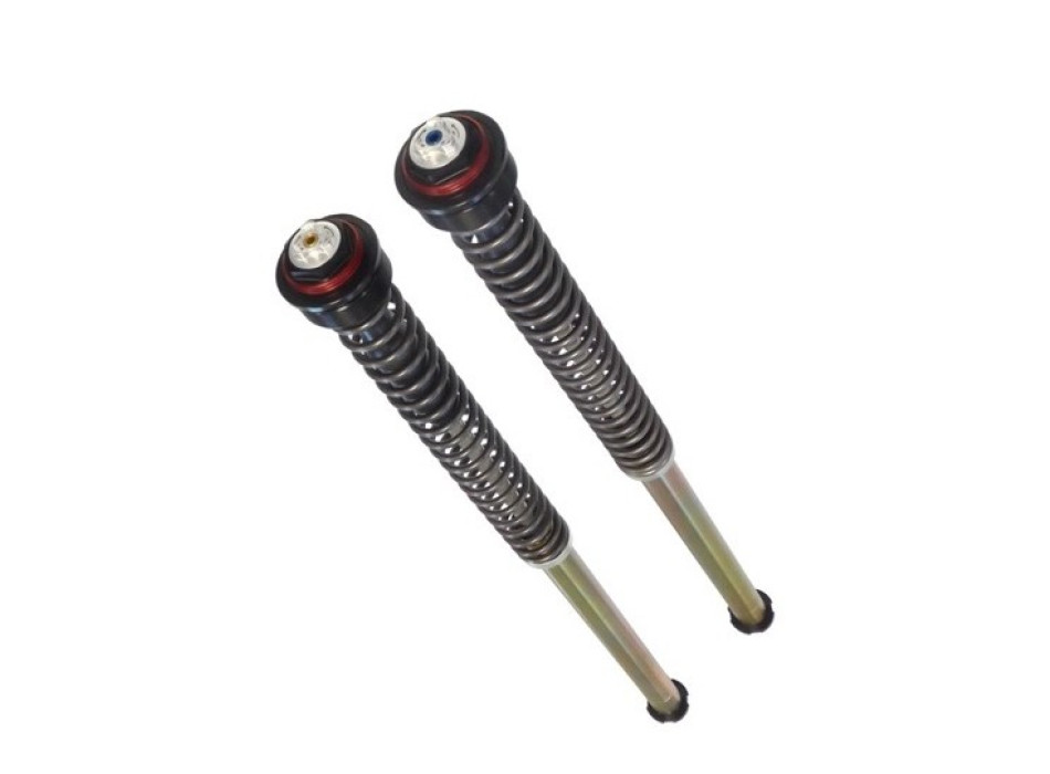 Cartuccia presurizzata regolabile: precarico molla, Estensione, Compressione, SENZA Olio, anello Rosso (suggerito olio cod. 997630 non incluso)