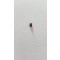 GRANO M5X6 PUNTA CILINDRICA ISO 4028 UNI 5925 DIN 915