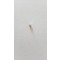 GRANO PER MOLLA E SFERA M5x0.8 - L.3 - DIN913 - A2