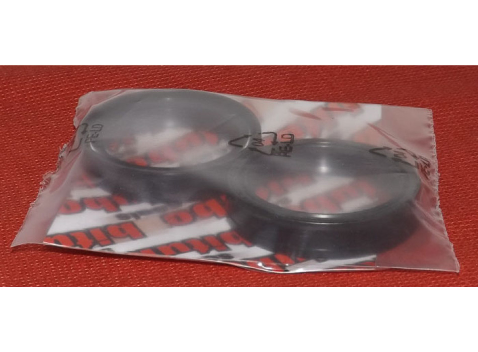 KIT PARAOLIO FORCELLA 43X54X11