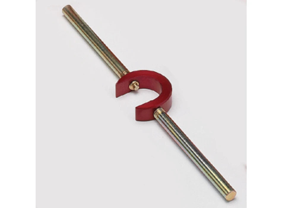 PREMIMOLLE FORK
