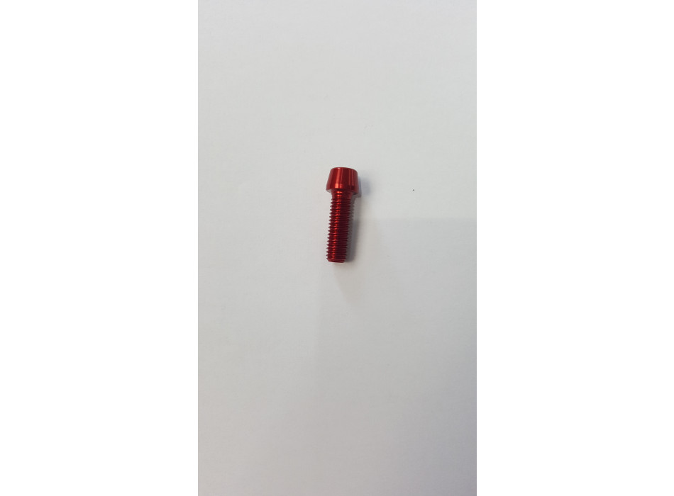 VITE CUSTOM M8x25 ERGAL ROSSO