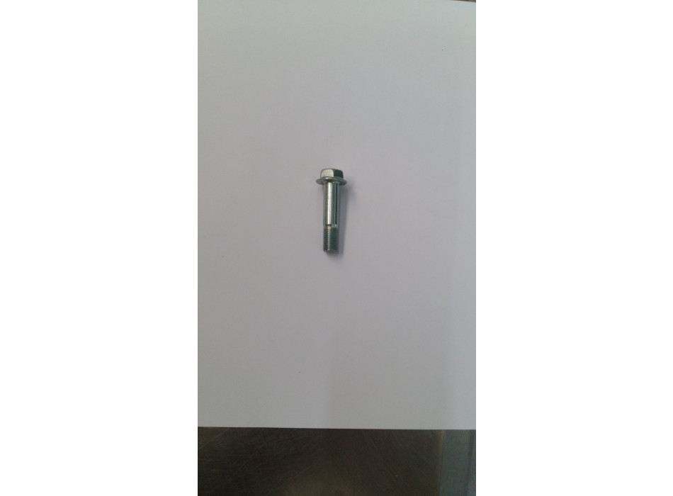 VITE M10X1.25X45 FIL.15 FLANGIATA