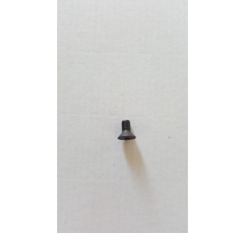 VITE M5X10 UNI5933 SVASATA