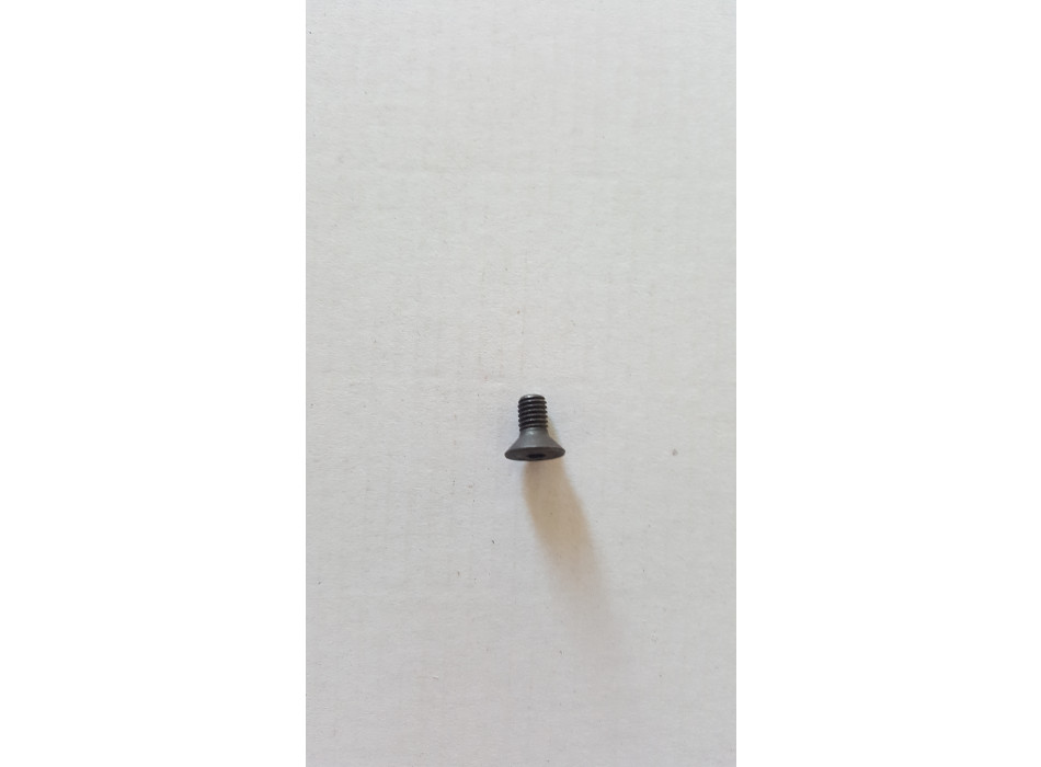 VITE M5X10 UNI5933 SVASATA