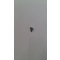 VITE TE FLANGIATA M6x12 DIN6921 ZINCATO BIANCO