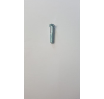 VITE TE M10x55 UNI5737 ZINCATO BIANCO