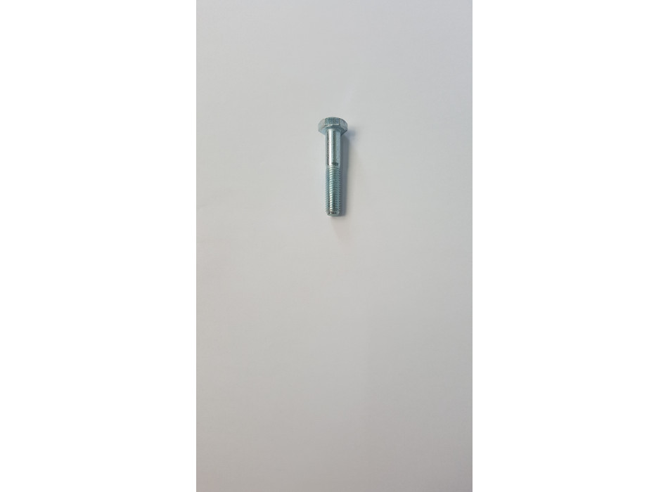 VITE TE M10x55 UNI5737 ZINCATO BIANCO